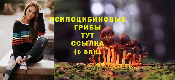 тгк Балахна